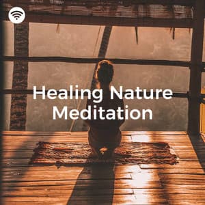 Healing Nature Meditation - Nature Soundzzz Club