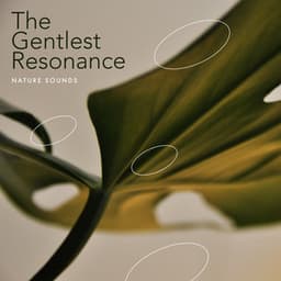 The Gentlest Resonance - Nature Sounds