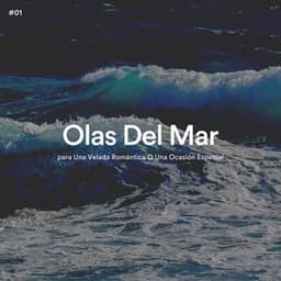 #01 Olas Del Mar para Una Velada Romántica O Una Ocasión Especial - Olas del Mar