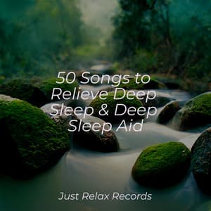 50 Songs to Relieve Deep Sleep & Deep Sleep Aid - Relaxed Minds