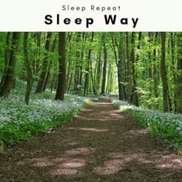 A Sleep Way - Sleep Repeat