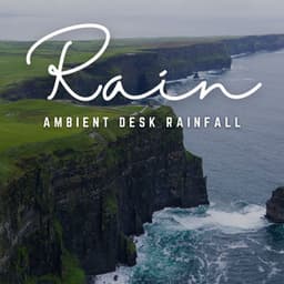 Professional Rain Harmony: Ambient Office - Rainforest Ambience