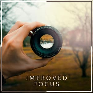 Improved Focus - Five Senses Meditation Sanctuary