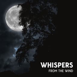 Invisible Drift - Earl Cooper