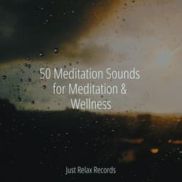 50 Meditation Sounds for Meditation & Wellness - Kinderliedjes