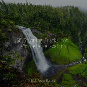 50 Stunning Tracks for Complete Relaxation - Meditación Guiada