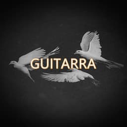 GUITARRA - The Donato Beats