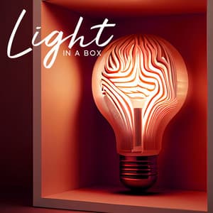 Light In A Box - 7 Types Of Spirits