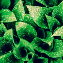 50 Rhythmic Storms: Patterns - Meditation Rain Sounds