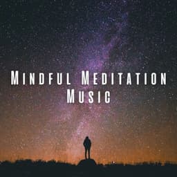 Mindful Meditation Music - Therapeutic Reality