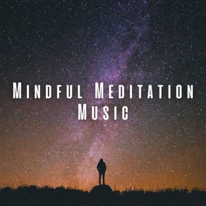 Mindful Meditation Music - Therapeutic Reality