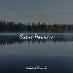 Sueño Hermoso - Nature Sounds
