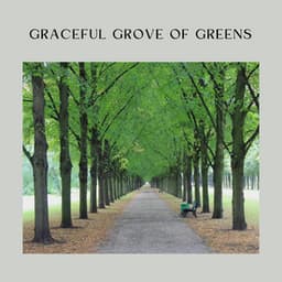 Graceful Grove of Greens - Sounds of the Forest