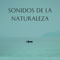 Sonidos De La Naturaleza: Caída De Agua En El Piano Consciente - Cascadas Relajantes