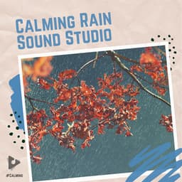 Calming Rain Sound Studio - #Calming