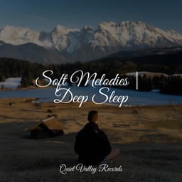 Soft Melodies | Deep Sleep - Soothing Chill Out for Insomnia