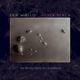 Silver Beach - Erik Wøllo