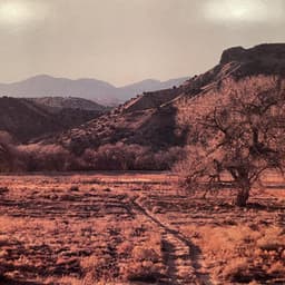 The Woman at Otowi Crossing - Stephen Paulus