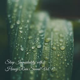 Sleep Immediately with Heavy Rain Sound Vol. 1 - Rain Wonder