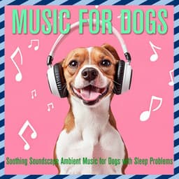 Music for Dogs: Soothing Soundscape Ambient Music for Dogs with Sleep Problems - Dog Music Dreams