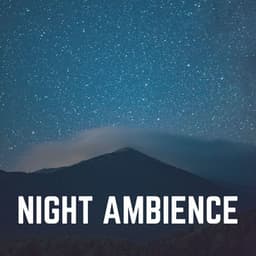 Night Ambience - Pilates Music