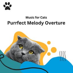 Music for Cats: Purrfect Melody Overture - Music for Cats Bgm