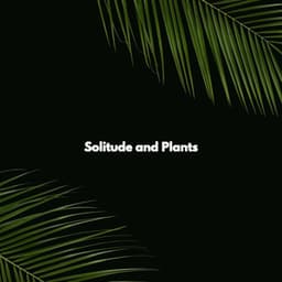 Solitude and Plants - Music for Productivity