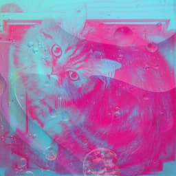 Resting Cats - Quiet - For Cats Only