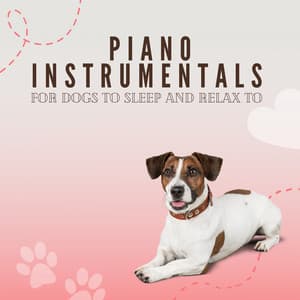Piano Instrumentals For Dogs To Sleep And Relax To - Pet Music Therapy