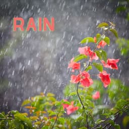 Rain - Herbert von Karajan