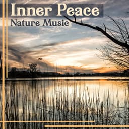 Inner Peace: Nature Music – Calm Sounds for Relax, Spirit of the Healing Water & Pure Rain Songs, Free Mind - Healing Waters Zone