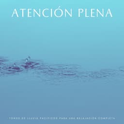 Atención Plena: Tonos De Lluvia Pacíficos Para Una Relajación Completa - Ejemplo de biblioteca de lluvia