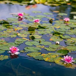 365 Mindfulness: Winds Of Change - Spa Music Relaxation