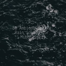 50 Ambient Spring Rain Sounds for Mindfulness - Naturaleza Sonidos