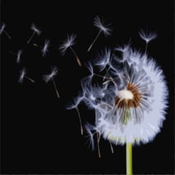 Soothing Winds for Background Noise - Wind Sounds