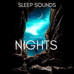 Blissful Nights - Sleep Sounds
