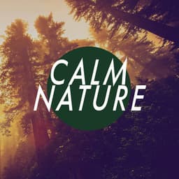 Calm Nature - Sounds Of Nature
