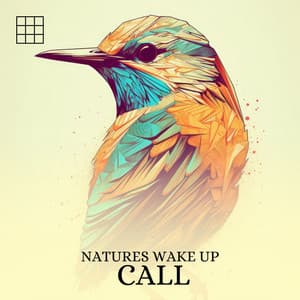 #01 Natures Wake Up Call - Forest Sounds