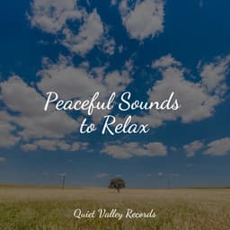 Peaceful Sounds to Relax - Tibetan Singing Bowls for Relaxation