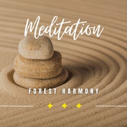 Forest Harmony: Nature's Calm Meditation Journey - Nature Of Sweden