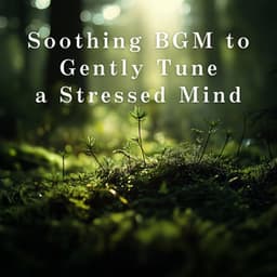 Soothing BGM to Gently Tune a Stressed Mind - Relax α Wave