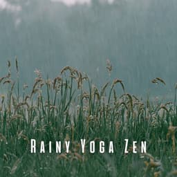 Rainy Yoga Zen: Nature's Insect Tunes with Chill Music - HD Rain and Water