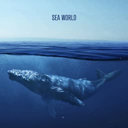 Sea ​​World - Rhodium Music