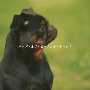 パウズ・オブ・ピースフル・サウンド - Calm Acoustic Cafe Music