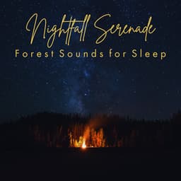 Nightfall Serenade: Forest Sounds for Sleep - Nature Soundscape