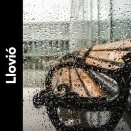 Llovió - Sonidos De Agua