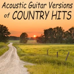 Acoustic Guitar Versions of Country Hits - Steve Petrunak