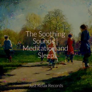 The Soothing Sounds | Meditation and Sleep - Meditation Spa