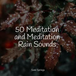 50 Meditation and Meditation Rain Sounds - Pacific Rim Nature Sounds