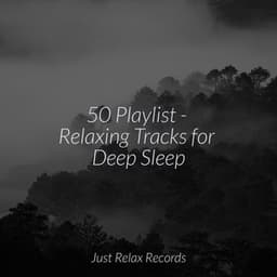 50 Playlist - Relaxing Tracks for Deep Sleep - Sleep Music Lullabies